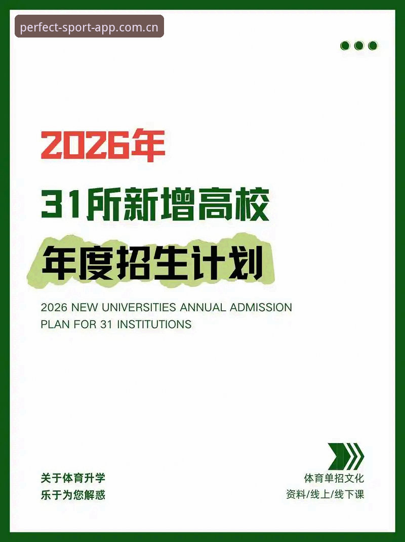 资深用户分享：完美体育手机版2026新版使用心得与实战经验